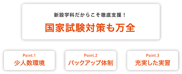 新設学科だからこそ徹底支援！国家試験対策も万全