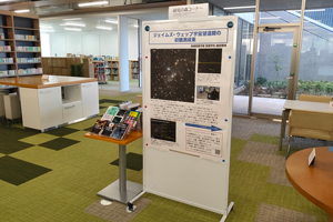 展示の様子